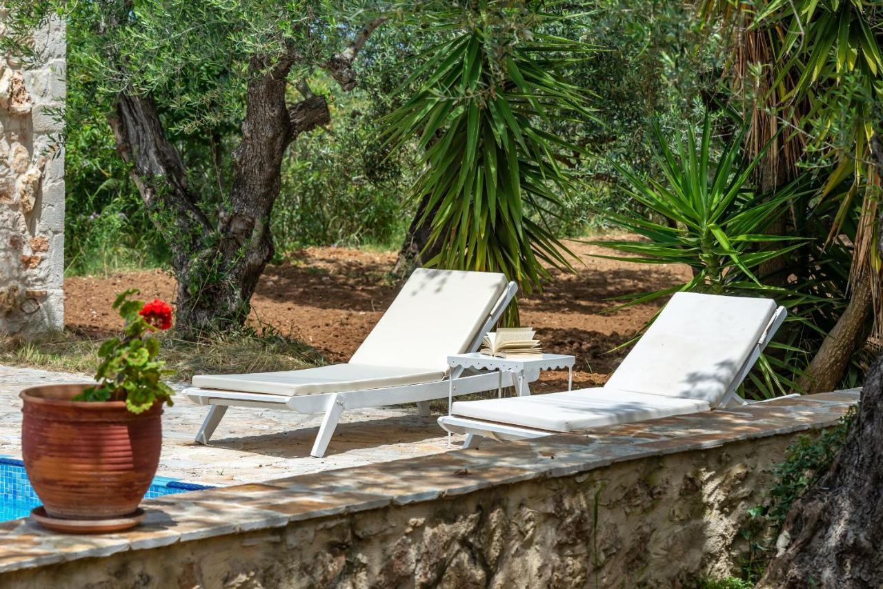 Olivegrove Villa - Nestled In Olive Trees With Private Pool, By Zantewize Tragaki Luaran gambar